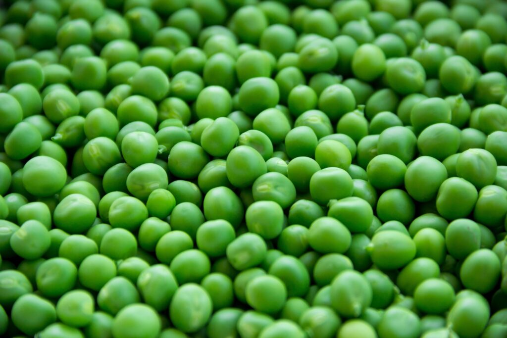 High Fibre Foods for Daily Diet